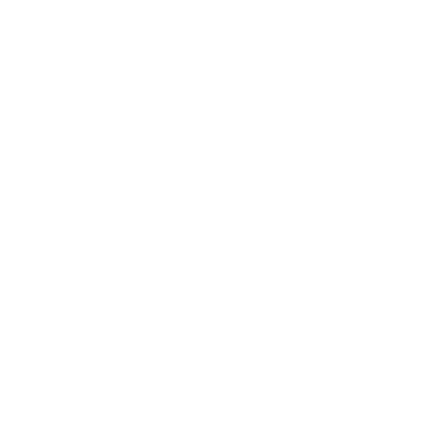 Risk